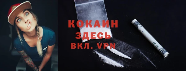 хмурый Белокуриха