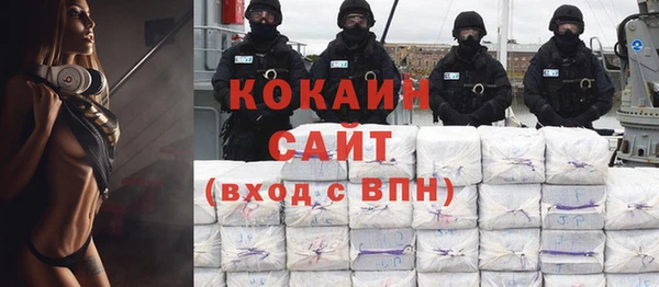 хмурый Белокуриха