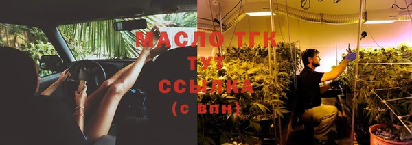 хмурый Белокуриха