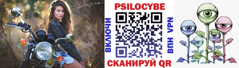 купить  цена  Нытва  Галлюциногенные грибы Cubensis 